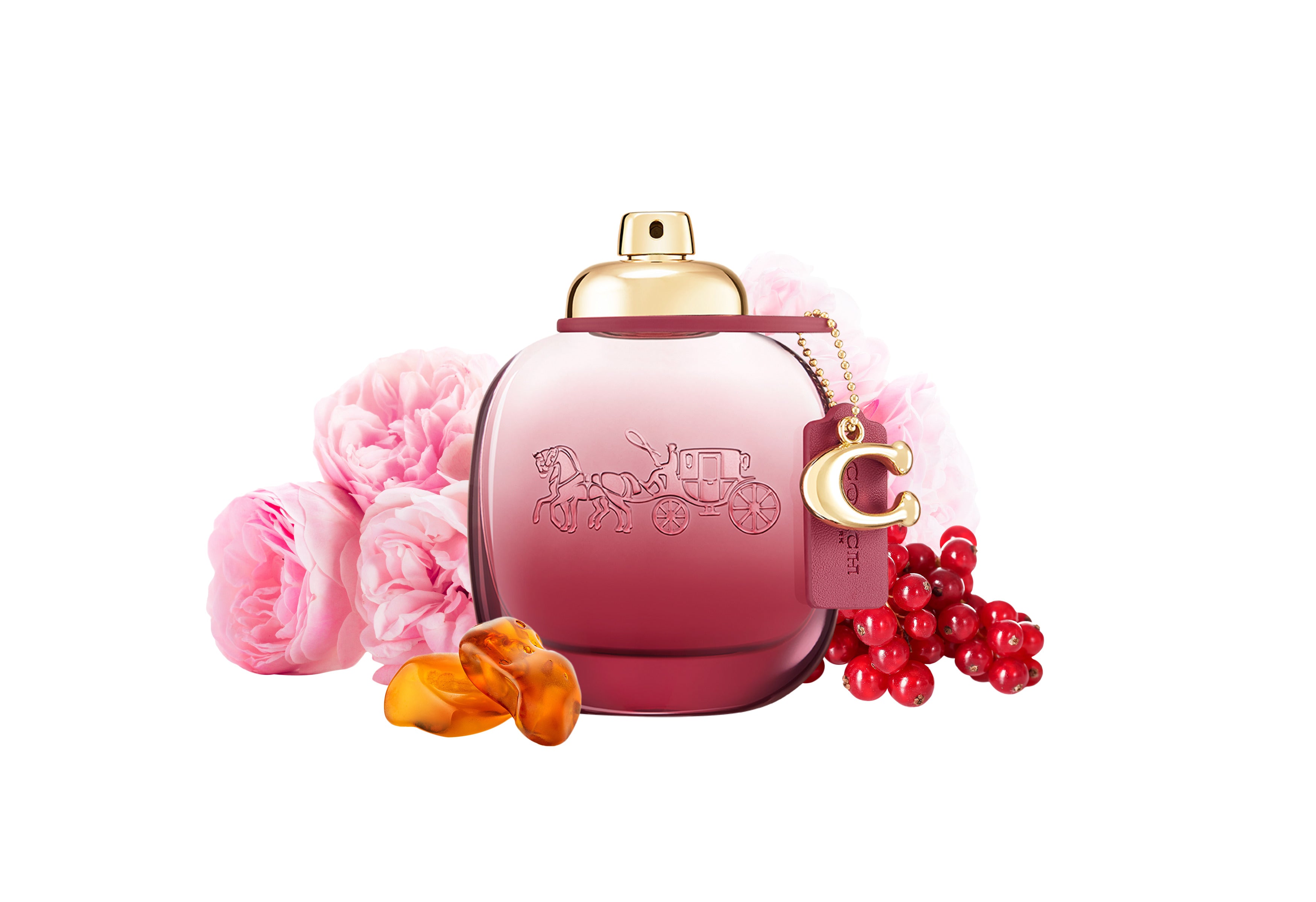 Perfume coach edp hot sale