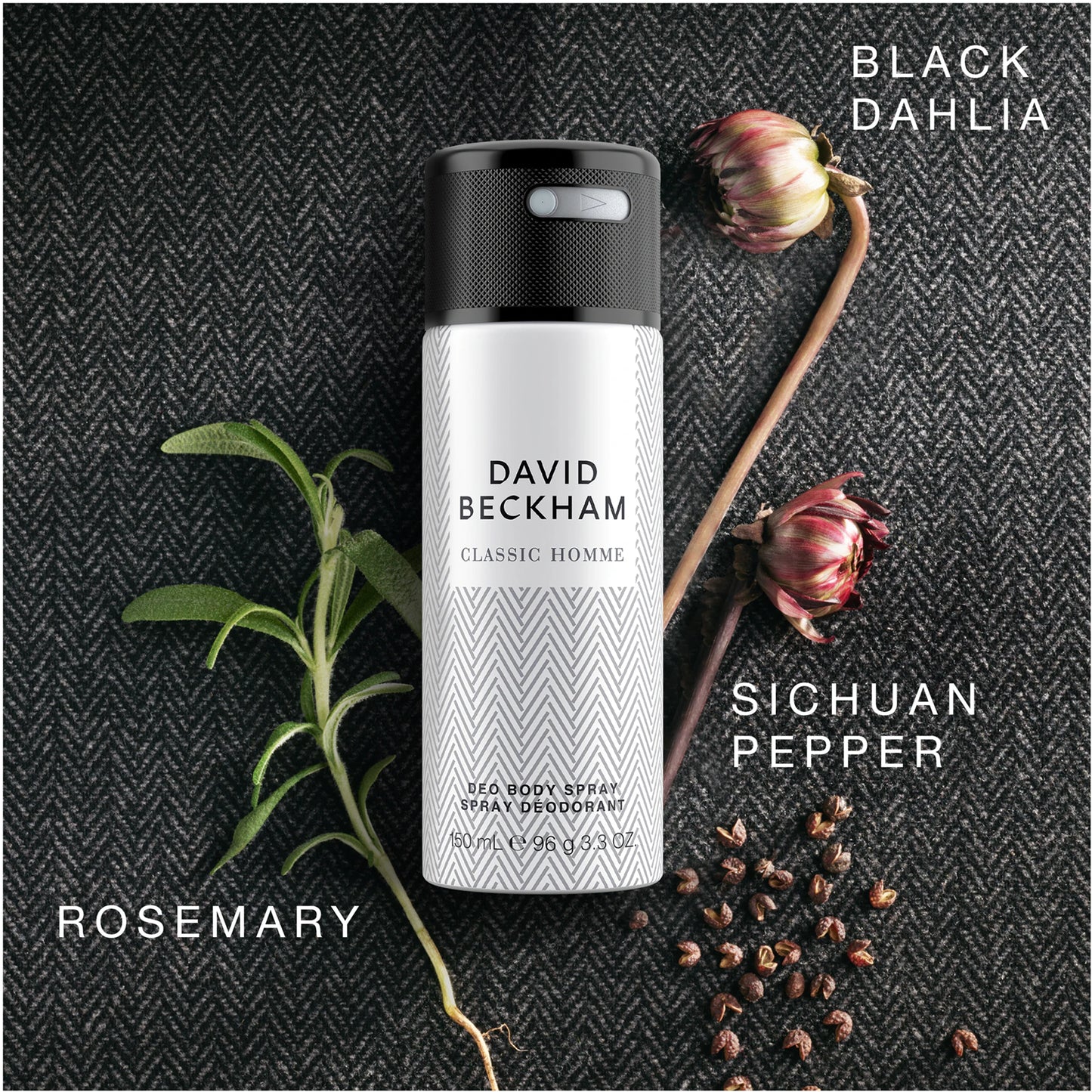 Classic Homme Deo