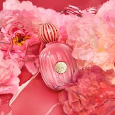 The Icon Splendid EDP