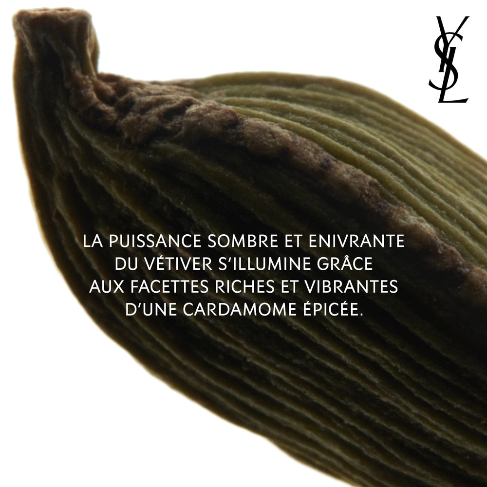 La Nuit de l'Homme Le Parfum
