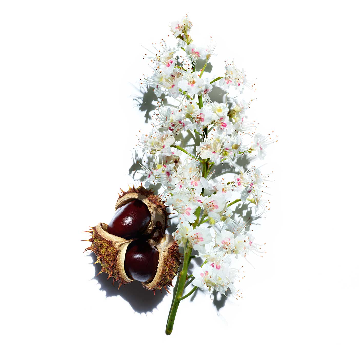 CLARINS - Double Serum