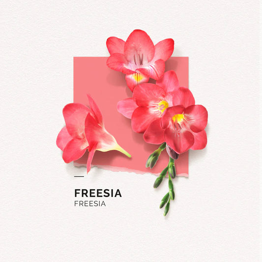 Freesia EDP