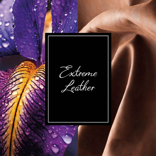 Montblanc Extreme Leather Collection