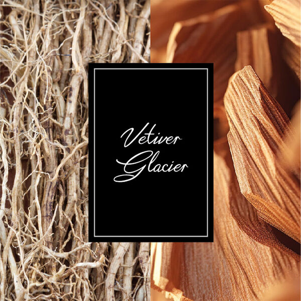 Montblanc Collection Vetiver Glacier Frozen Santal