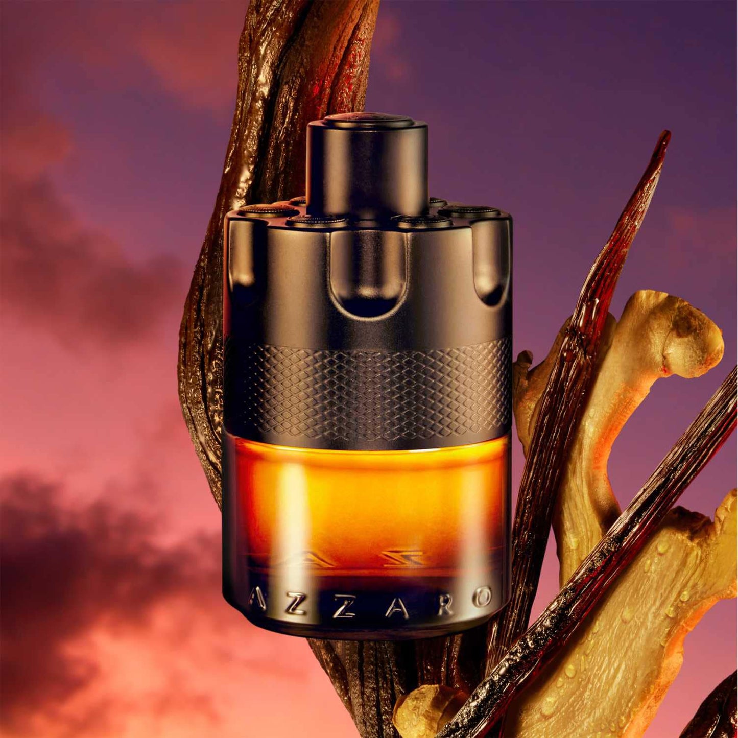 THE MOST WANTED Perfume