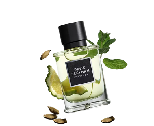 Instinct EDP