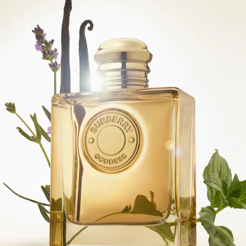 Burberry Goddess Intense MADO Parfums Co Ltd burberry-goddess-intense-mado-parfums-co-ltd