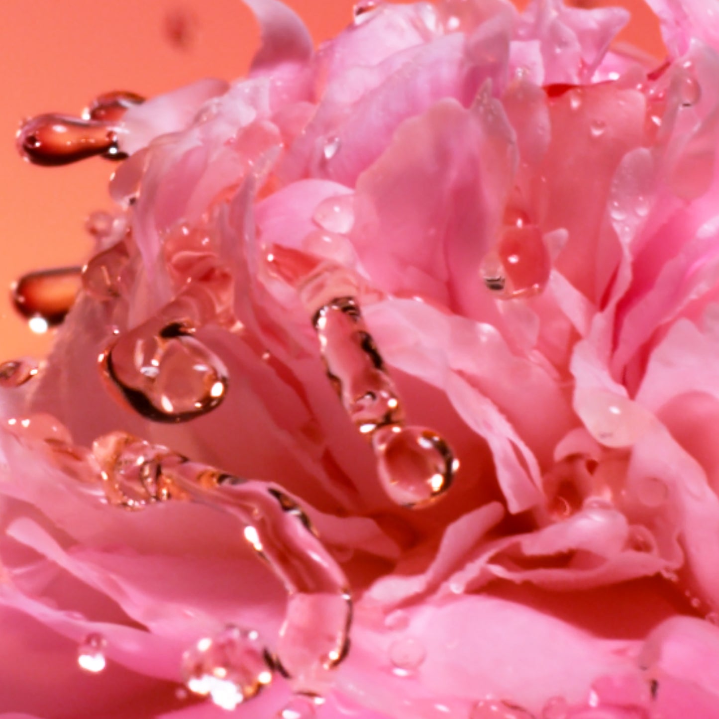 Idôle Peach'N Roses EDP